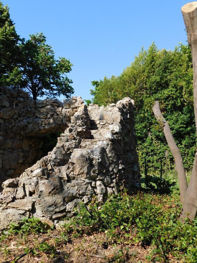 Appartamento Con Piscina Immersa Nel Verde Cascina Exteriér fotografie