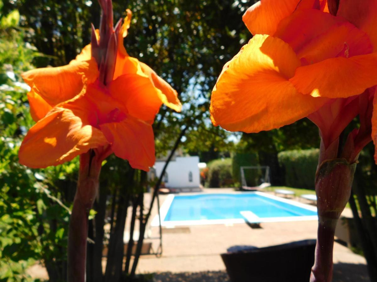 Appartamento Con Piscina Immersa Nel Verde Cascina Exteriér fotografie