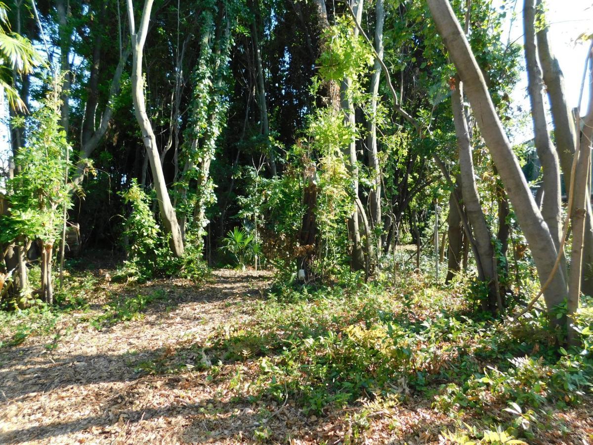 Appartamento Con Piscina Immersa Nel Verde Cascina Exteriér fotografie