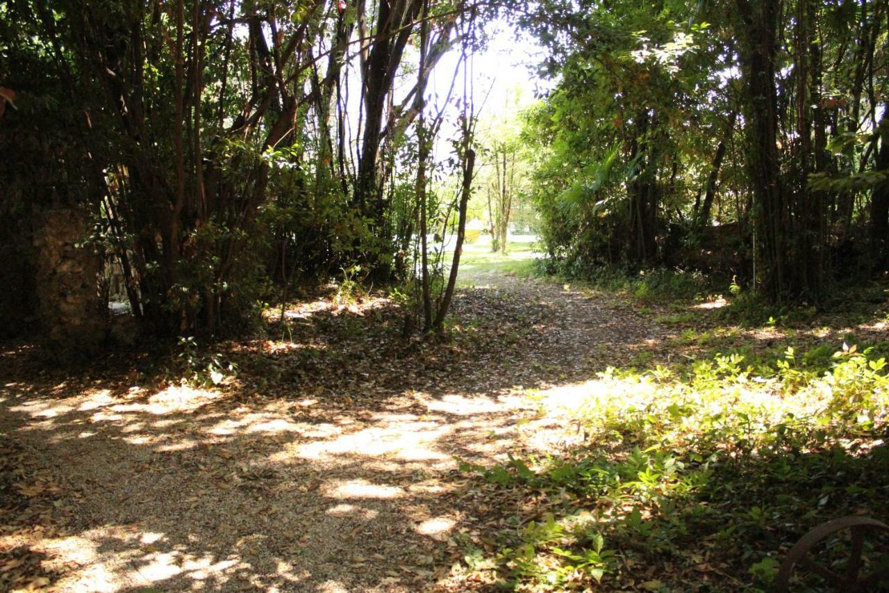 Appartamento Con Piscina Immersa Nel Verde Cascina Exteriér fotografie